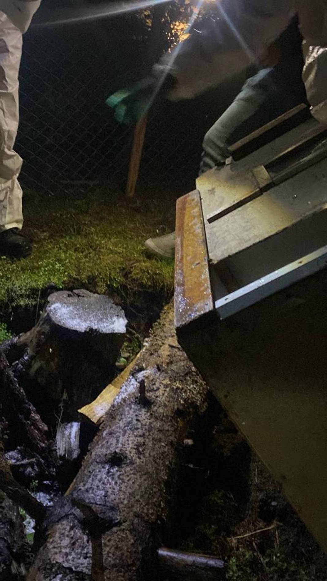 Orman yangınlarından sonra şimdi de 'dumansız yangın' paniği! On binlercesi doğaya salındı 8